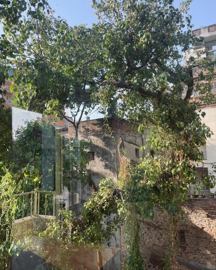 Rooftop Studio And 2Bhk Apartments In Kathmandu'S Most Happening Place Exterior photo